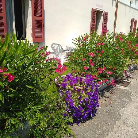 Albergo Grifone 1891 Peschiera del Garda Bagian luar foto